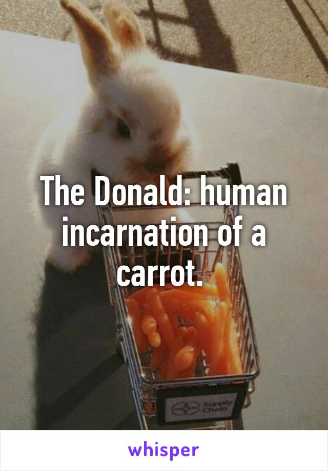 The Donald: human incarnation of a carrot. 