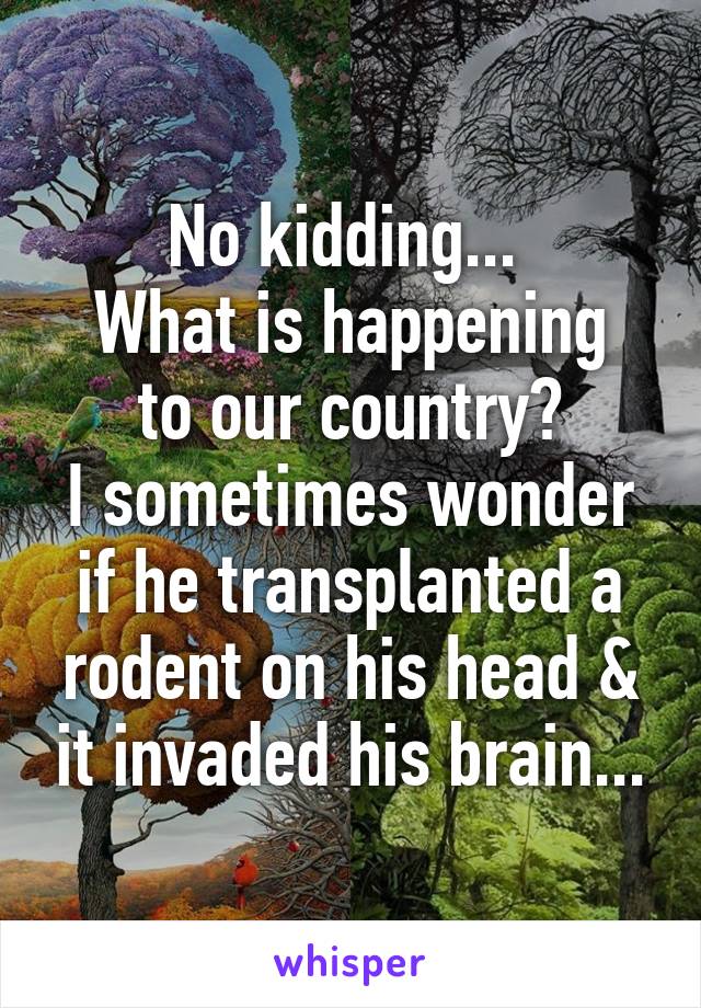 No kidding... 
What is happening to our country?
I sometimes wonder if he transplanted a rodent on his head & it invaded his brain...