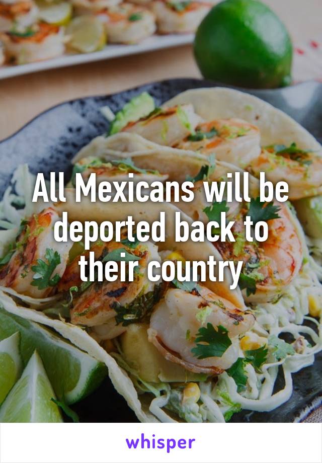 All Mexicans will be deported back to their country