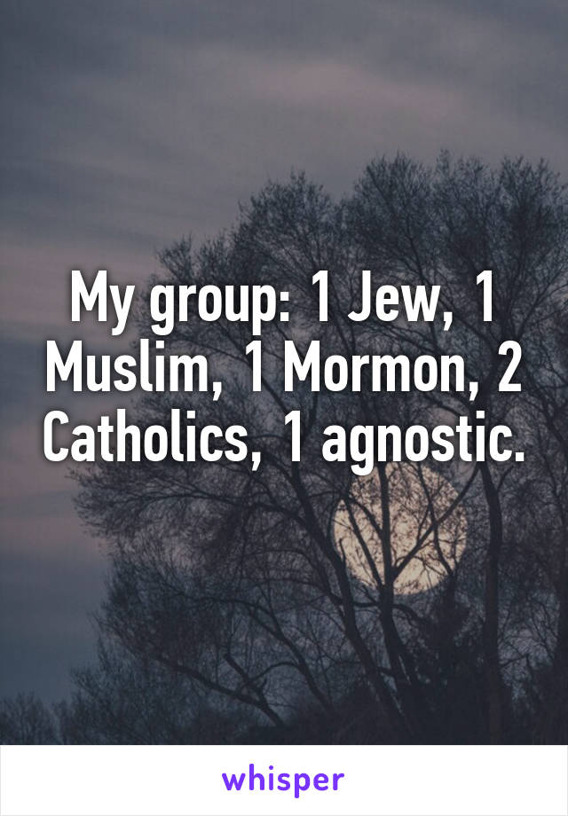 My group: 1 Jew, 1 Muslim, 1 Mormon, 2 Catholics, 1 agnostic. 