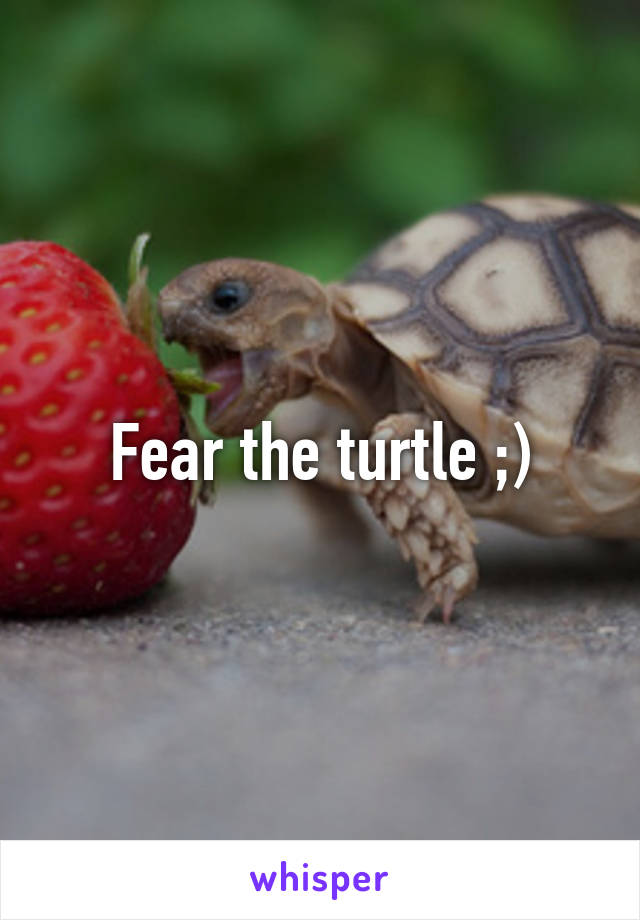 Fear the turtle ;)