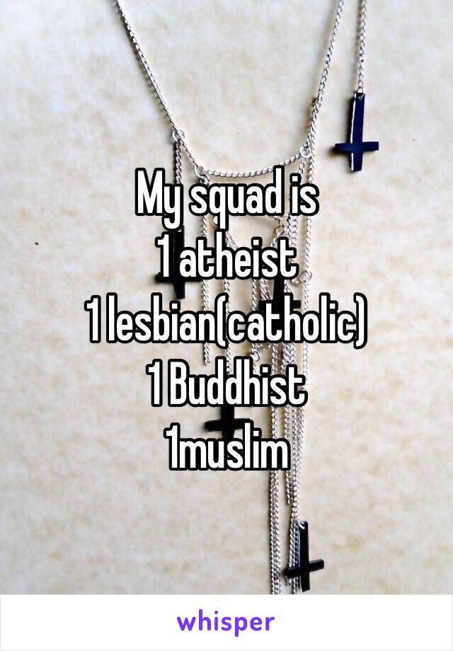 My squad is
1 atheist
1 lesbian(catholic)
1 Buddhist
1muslim