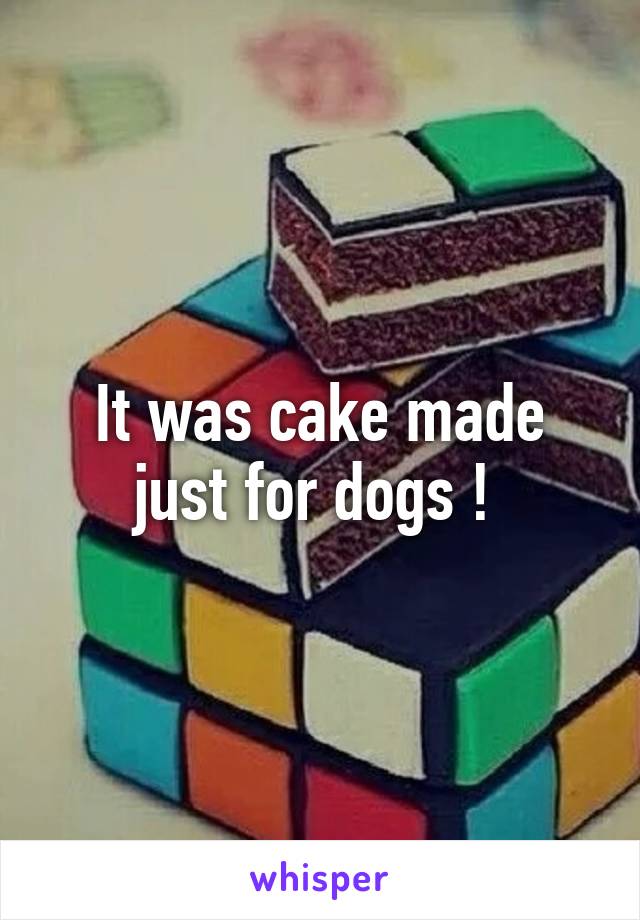 It was cake made just for dogs ! 