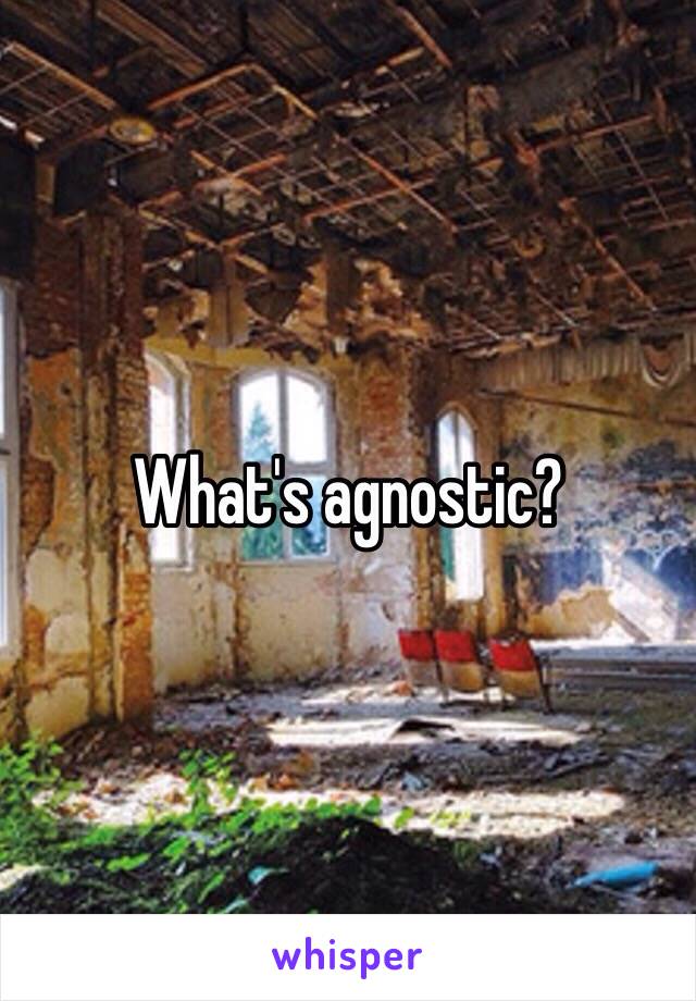 What's agnostic?