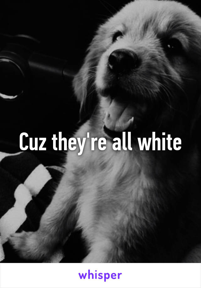 Cuz they're all white