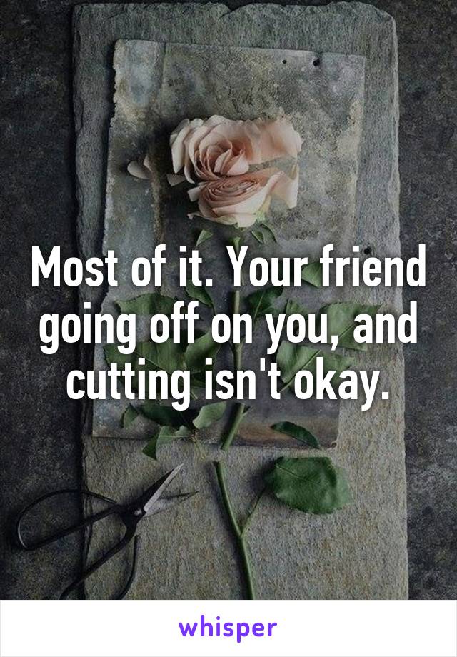 Most of it. Your friend going off on you, and cutting isn't okay.