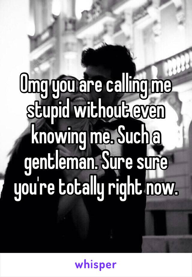 Omg you are calling me stupid without even knowing me. Such a gentleman. Sure sure you're totally right now.