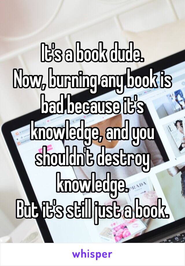 It's a book dude.
Now, burning any book is bad because it's knowledge, and you shouldn't destroy knowledge.
But it's still just a book.
