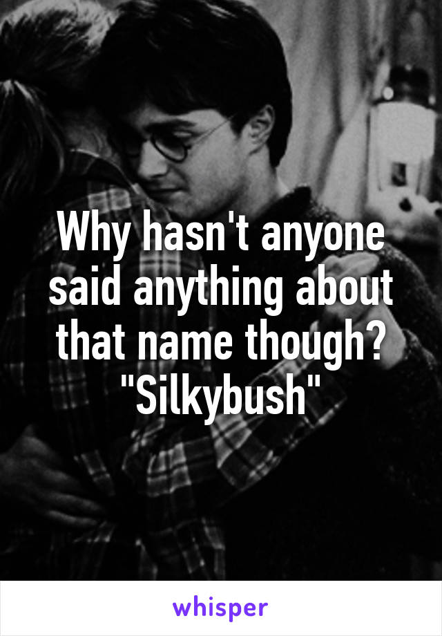 Why hasn't anyone said anything about that name though? "Silkybush"