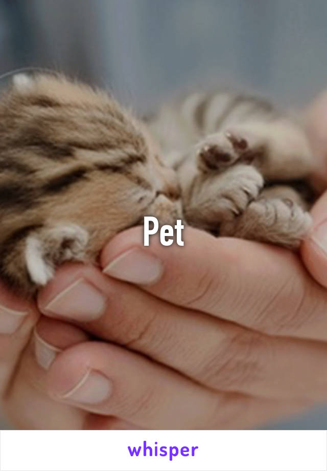 Pet