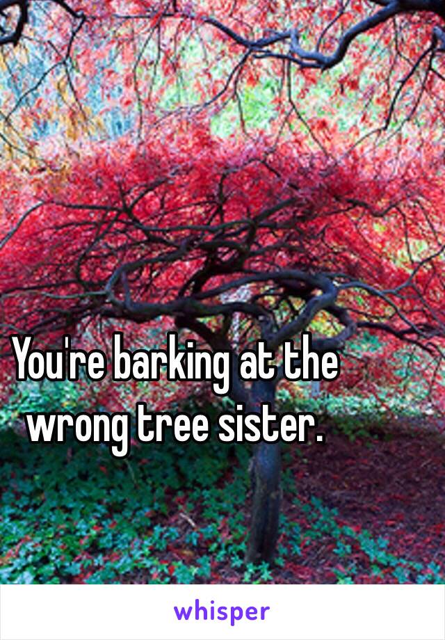 You're barking at the wrong tree sister. 