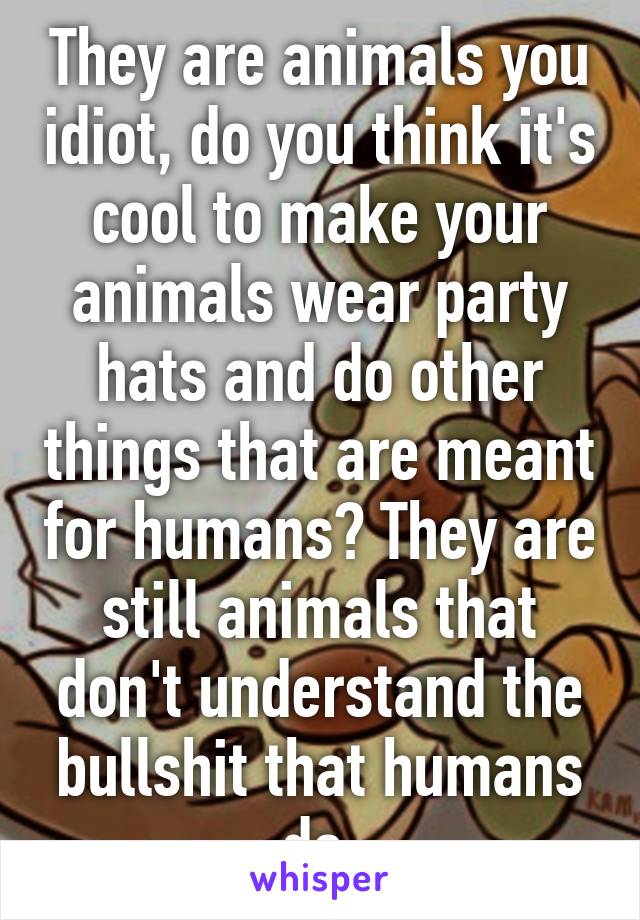 They are animals you idiot, do you think it's cool to make your animals wear party hats and do other things that are meant for humans? They are still animals that don't understand the bullshit that humans do.