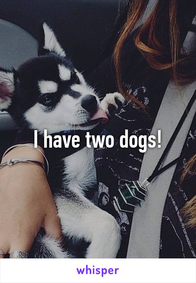 I have two dogs!