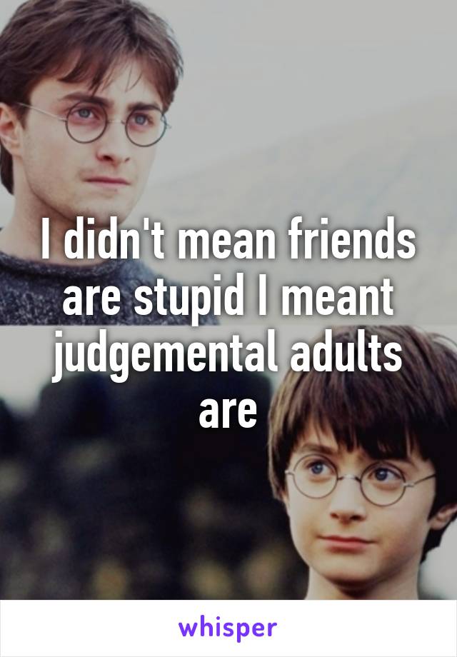 I didn't mean friends are stupid I meant judgemental adults are