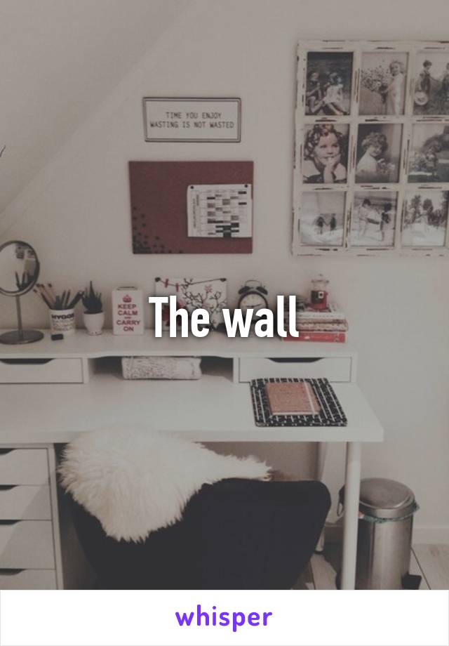 The wall