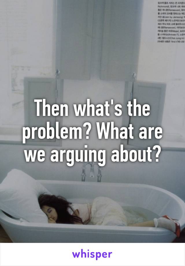 Then what's the problem? What are we arguing about?