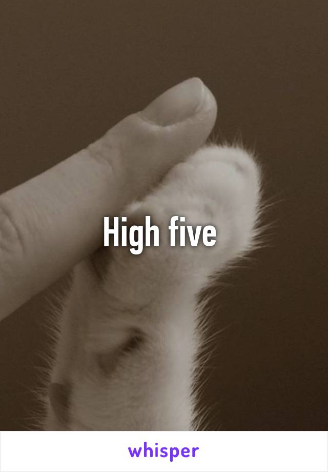 High five 