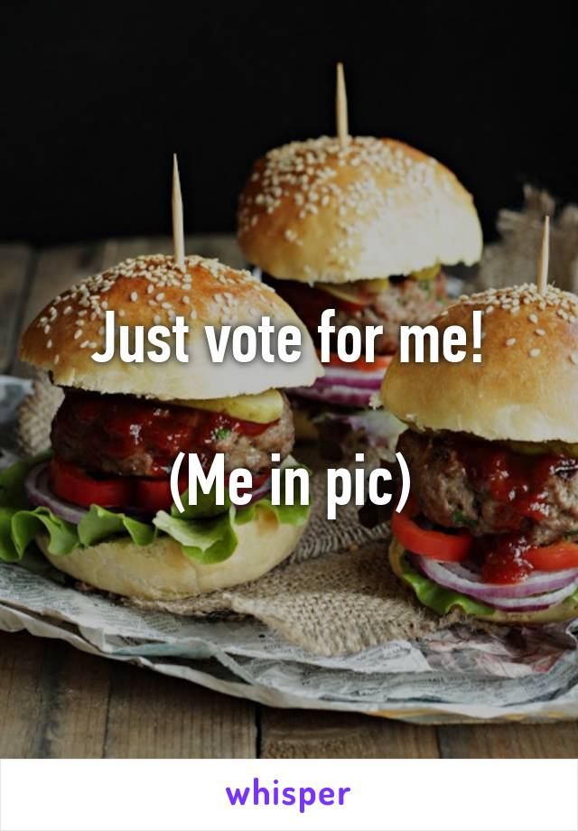 Just vote for me!

(Me in pic)