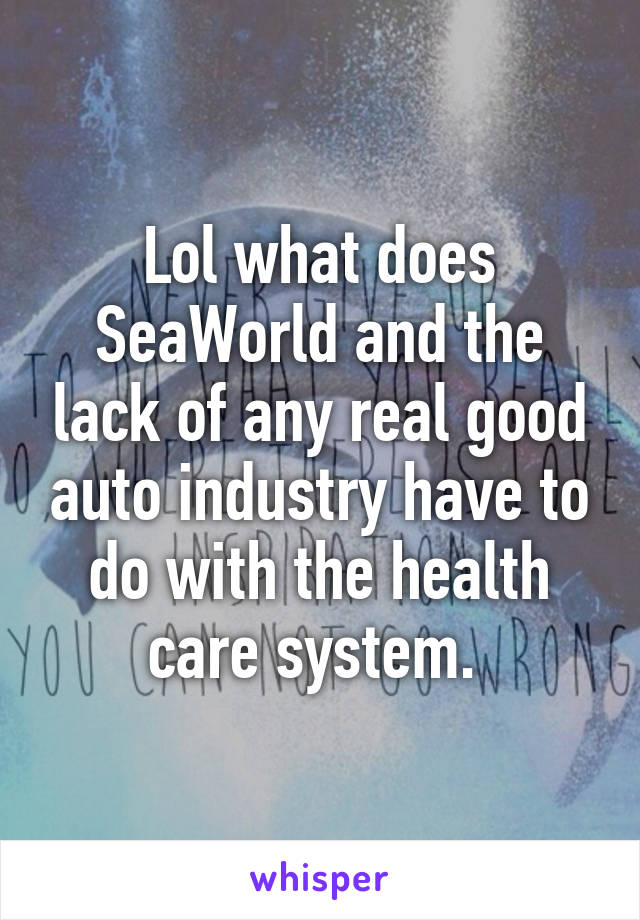 Lol what does SeaWorld and the lack of any real good auto industry have to do with the health care system. 