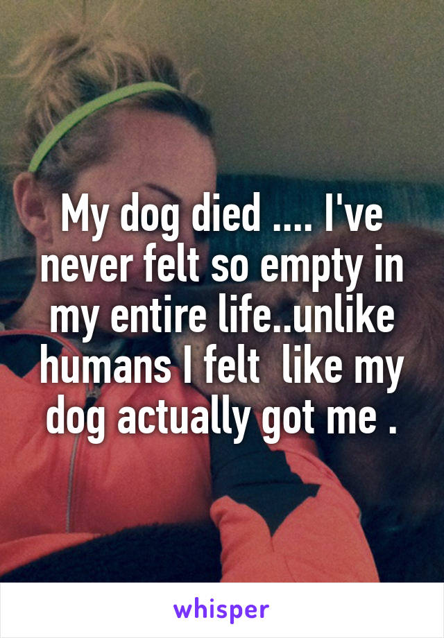 My dog died .... I've never felt so empty in my entire life..unlike humans I felt  like my dog actually got me .