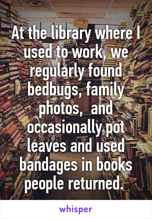 At the library where I used to work, we regularly found bedbugs, family photos,  and occasionally pot leaves and used bandages in books people returned. 