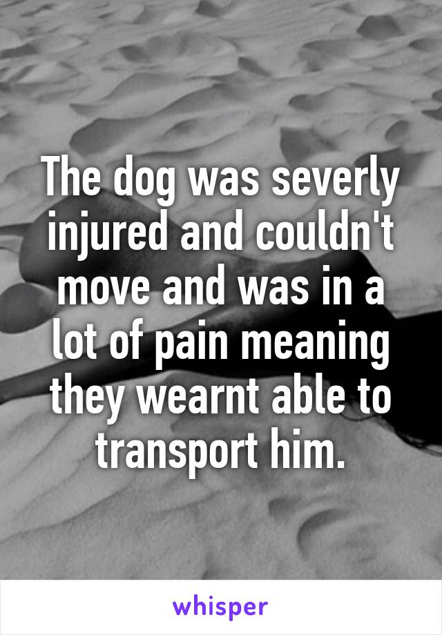 That is heartbreaking. Why did he have to put the dog down? Please give