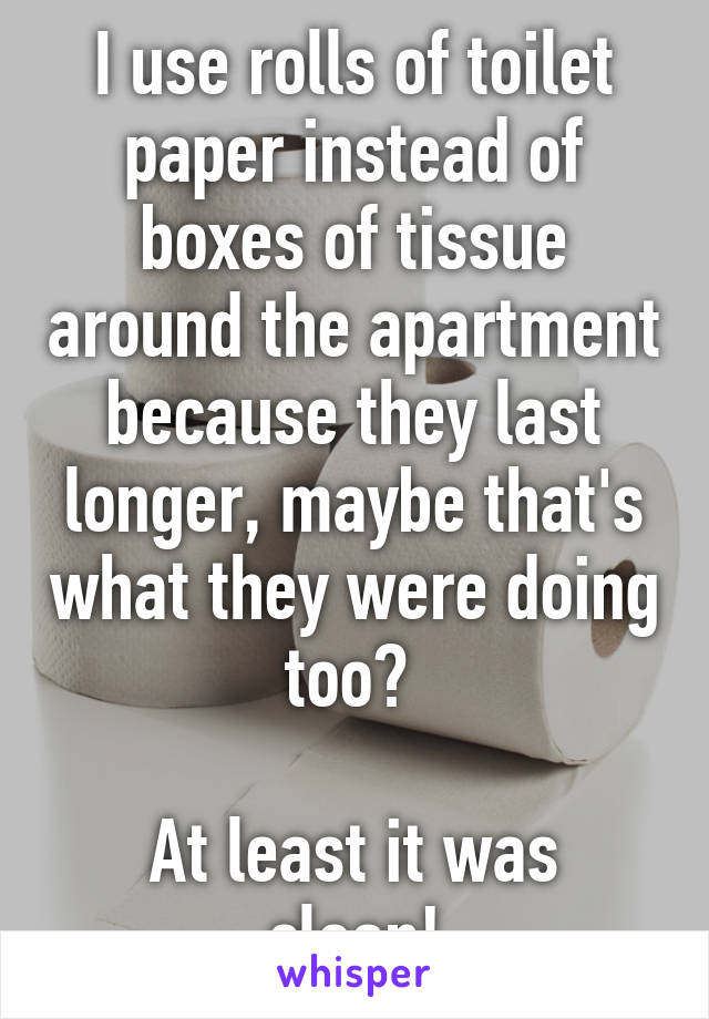 I use rolls of toilet paper instead of boxes of tissue around the apartment because they last longer, maybe that's what they were doing too? 

At least it was clean!