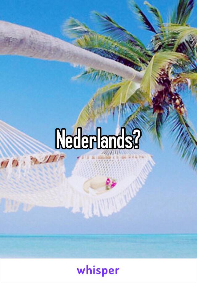 Nederlands?