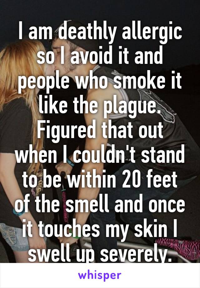 I am deathly allergic so I avoid it and people who smoke it like the plague. Figured that out when I couldn't stand to be within 20 feet of the smell and once it touches my skin I swell up severely.