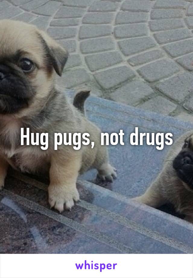 Hug pugs, not drugs