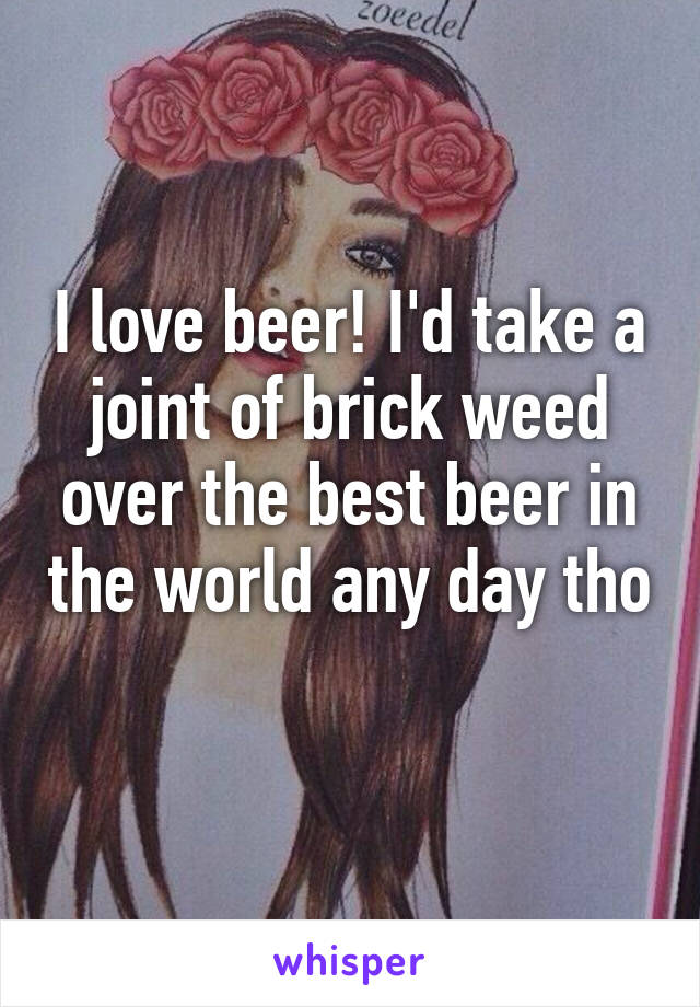 I love beer! I'd take a joint of brick weed over the best beer in the world any day tho 