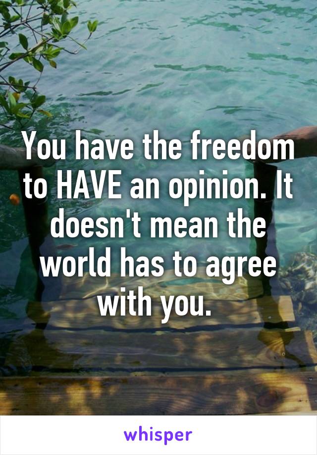 You have the freedom to HAVE an opinion. It doesn't mean the world has to agree with you. 