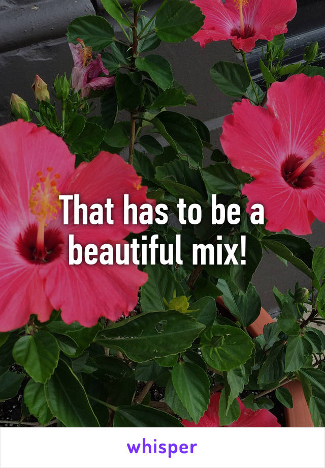 That has to be a beautiful mix! 