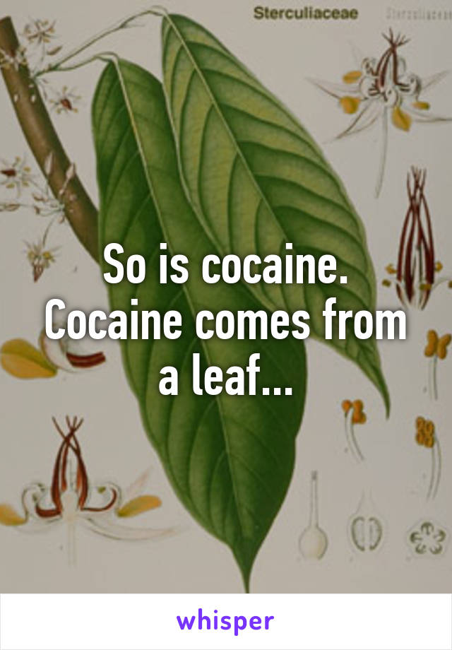 So is cocaine. Cocaine comes from a leaf...