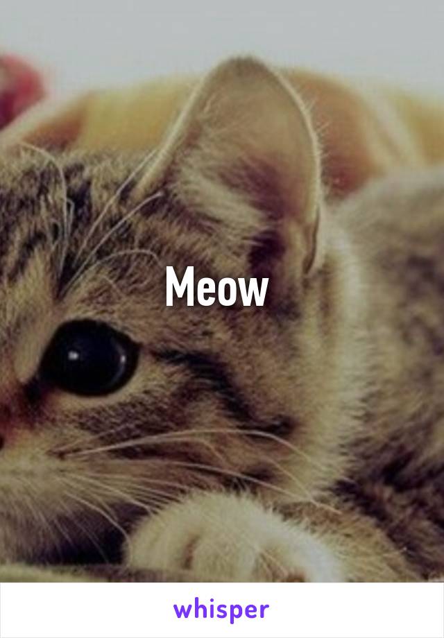 Meow 
