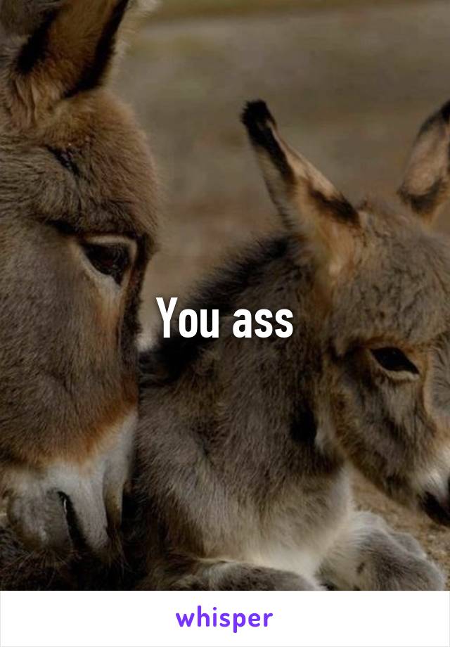 You ass