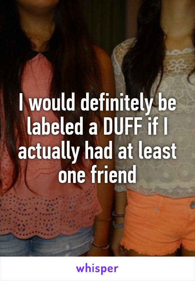 I would definitely be labeled a DUFF if I actually had at least one friend