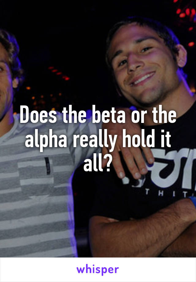 Does the beta or the alpha really hold it all?