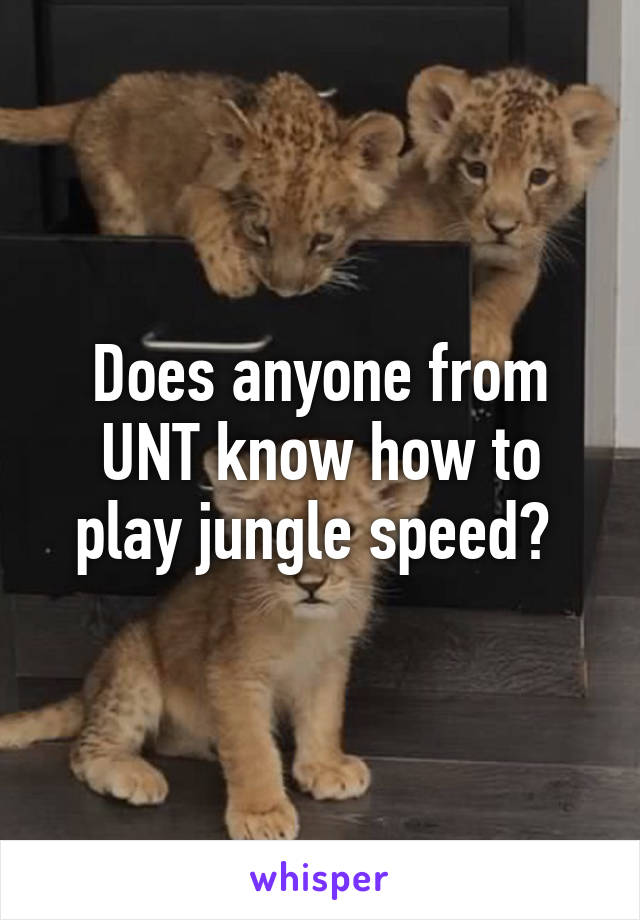 Does anyone from UNT know how to play jungle speed? 