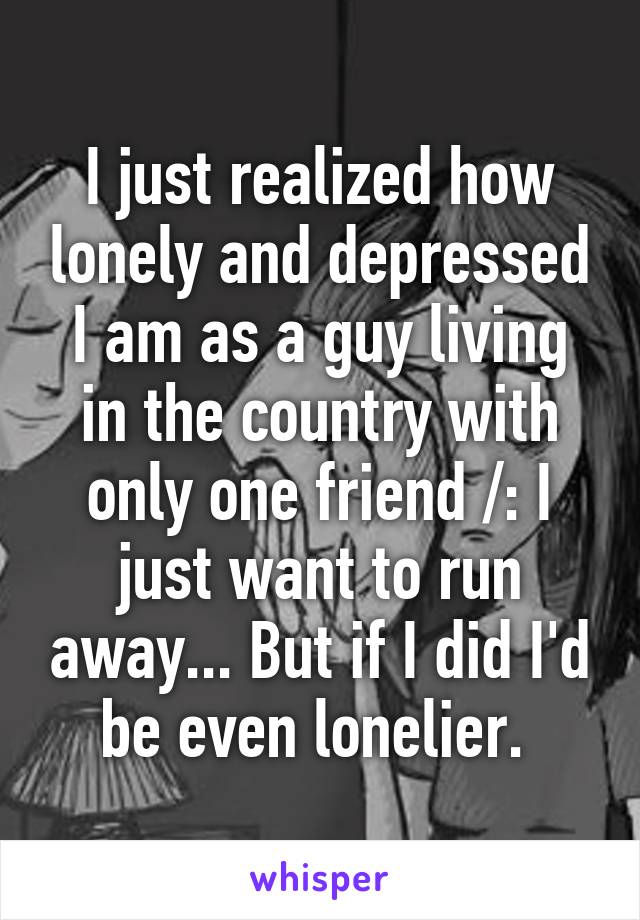 I just realized how lonely and depressed I am as a guy living in the country with only one friend /: I just want to run away... But if I did I'd be even lonelier. 