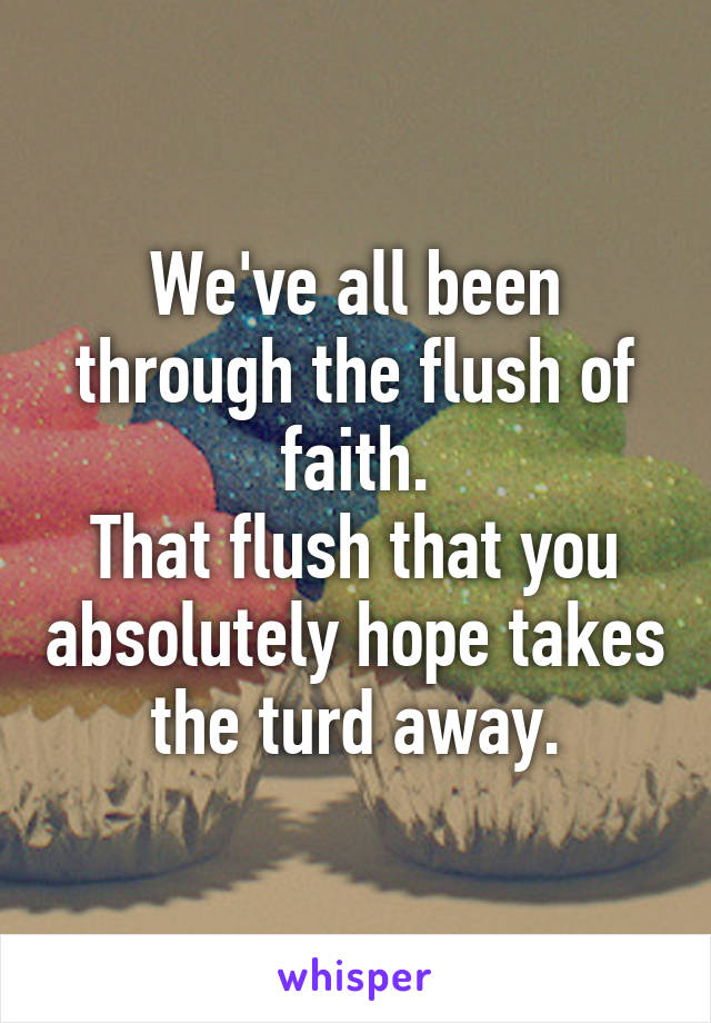 We've all been through the flush of faith.
That flush that you absolutely hope takes the turd away.