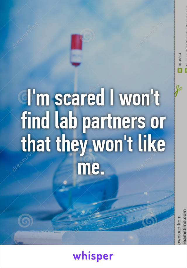 I'm scared I won't find lab partners or that they won't like me. 