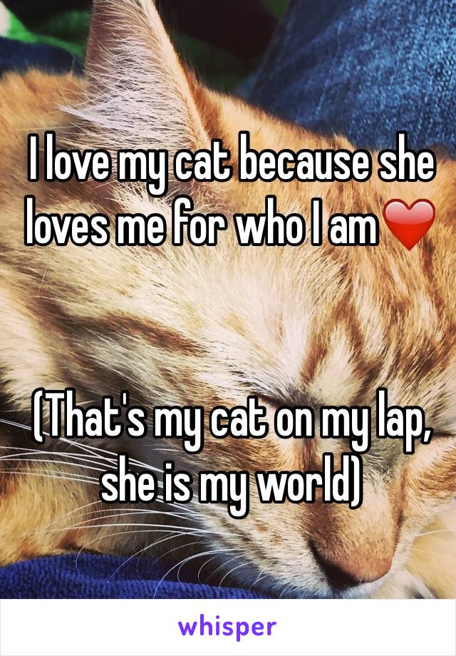 I love my cat because she loves me for who I am❤️


(That's my cat on my lap, she is my world)