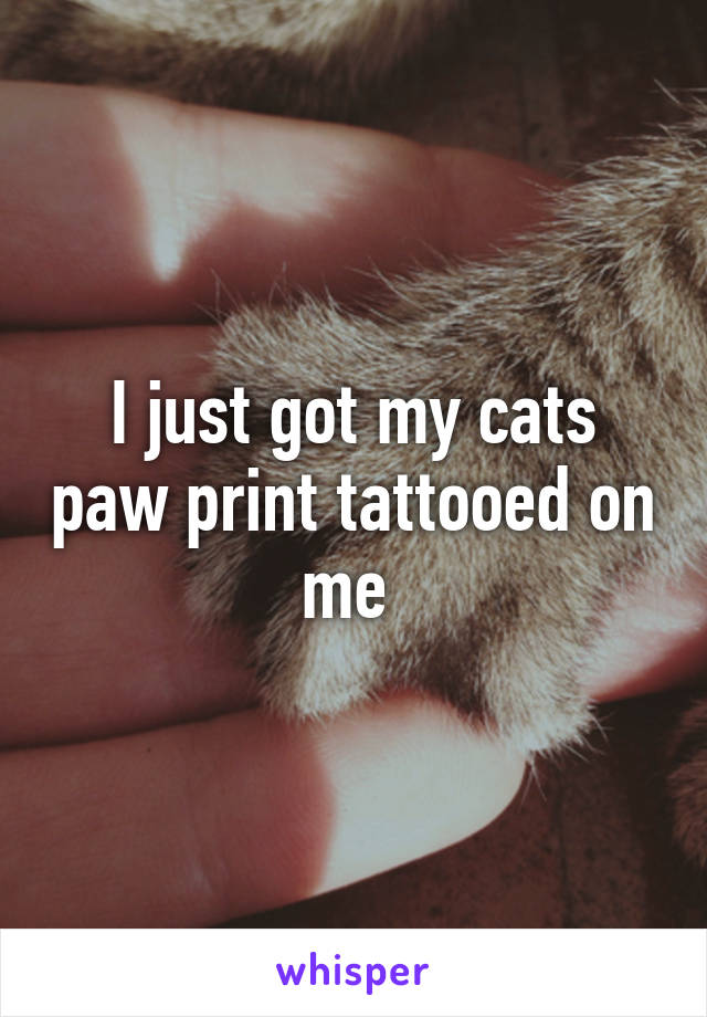 I just got my cats paw print tattooed on me 