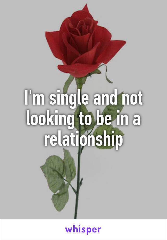 I'm single and not looking to be in a relationship