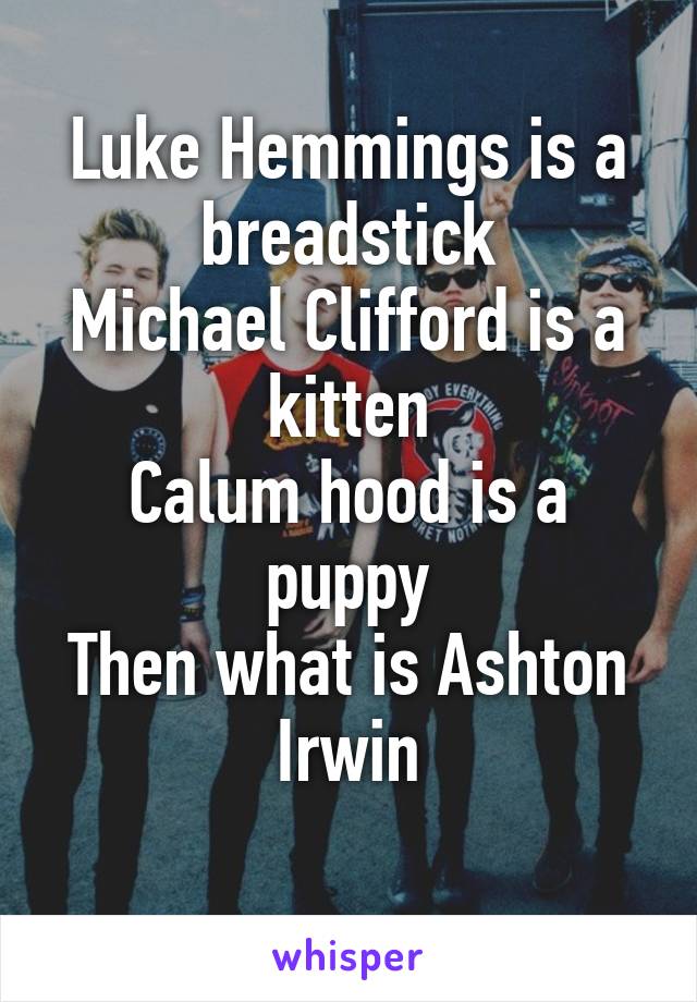 Luke Hemmings is a breadstick
Michael Clifford is a kitten
Calum hood is a puppy
Then what is Ashton Irwin
