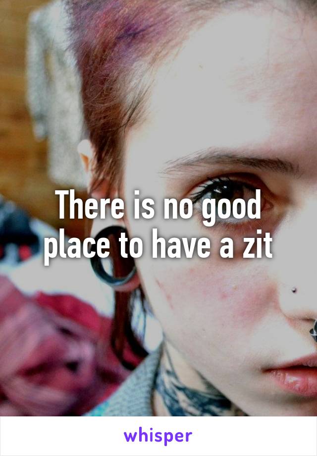 There is no good place to have a zit