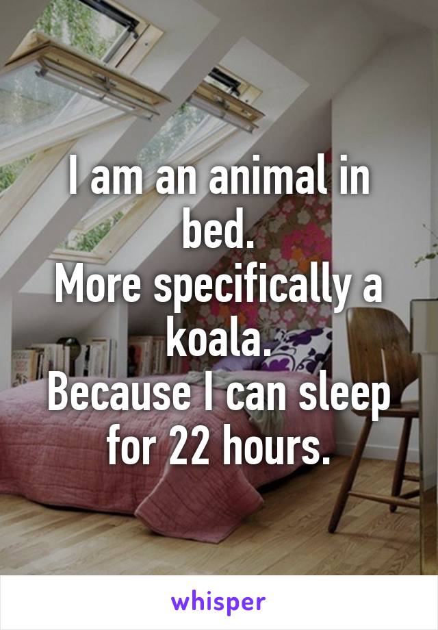 I am an animal in bed.
More specifically a koala.
Because I can sleep for 22 hours.
