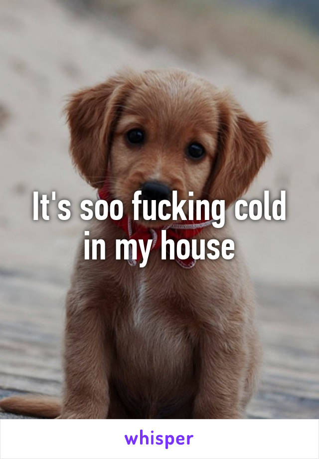 It's soo fucking cold in my house