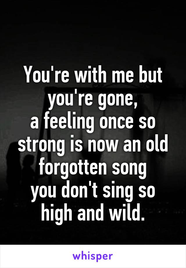 
You're with me but you're gone,
a feeling once so strong is now an old forgotten song
you don't sing so high and wild.